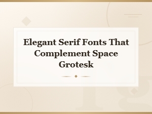 Elegant Serif Fonts That Complement Space Grotesk | Perfect Pairings Guide